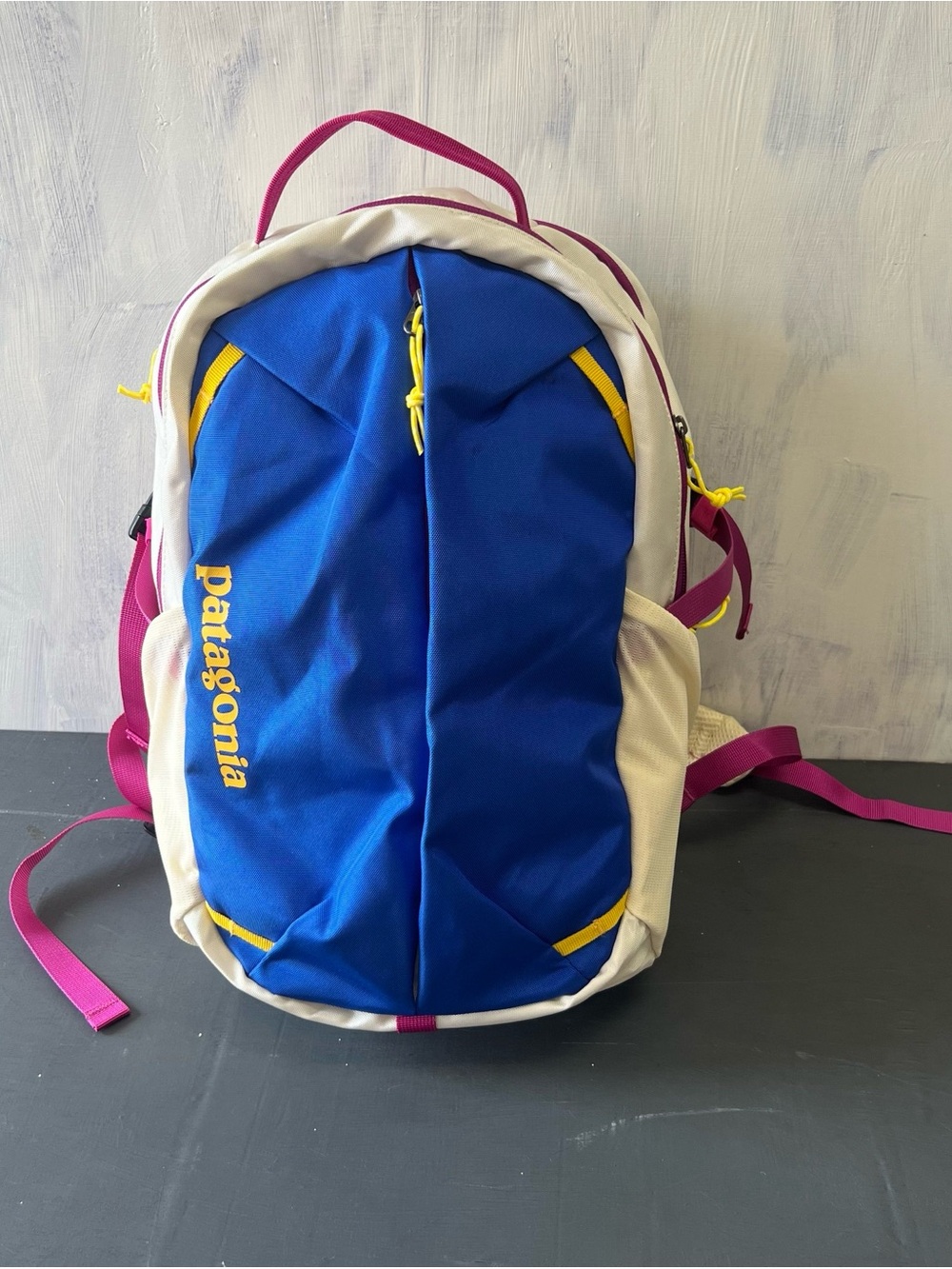Patagonia 26L Blue, Cream & Magenta Daypack Backpack